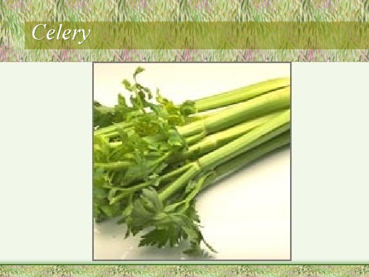 Celery 