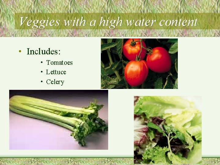 Veggies with a high water content • Includes: • Tomatoes • Lettuce • Celery