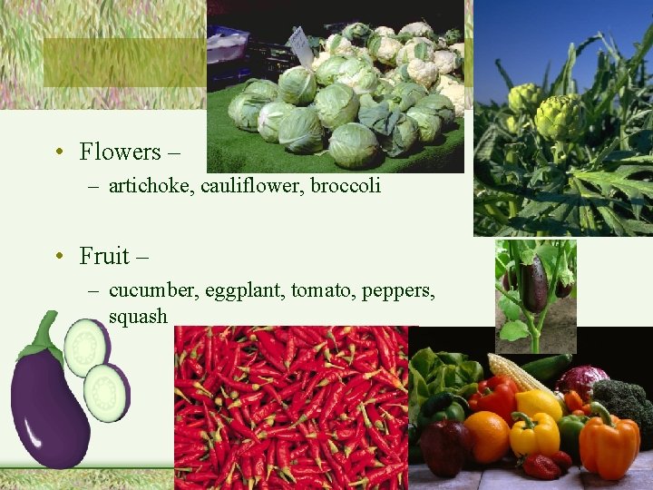  • Flowers – – artichoke, cauliflower, broccoli • Fruit – – cucumber, eggplant,