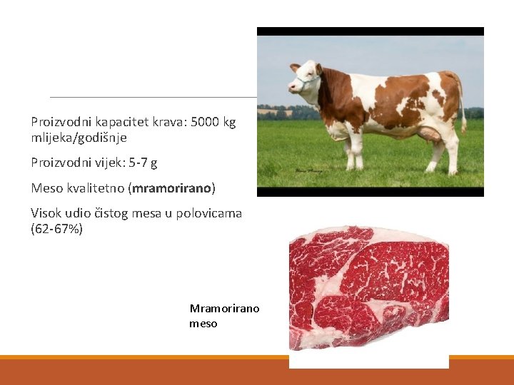 Proizvodni kapacitet krava: 5000 kg mlijeka/godišnje Proizvodni vijek: 5 -7 g Meso kvalitetno (mramorirano)