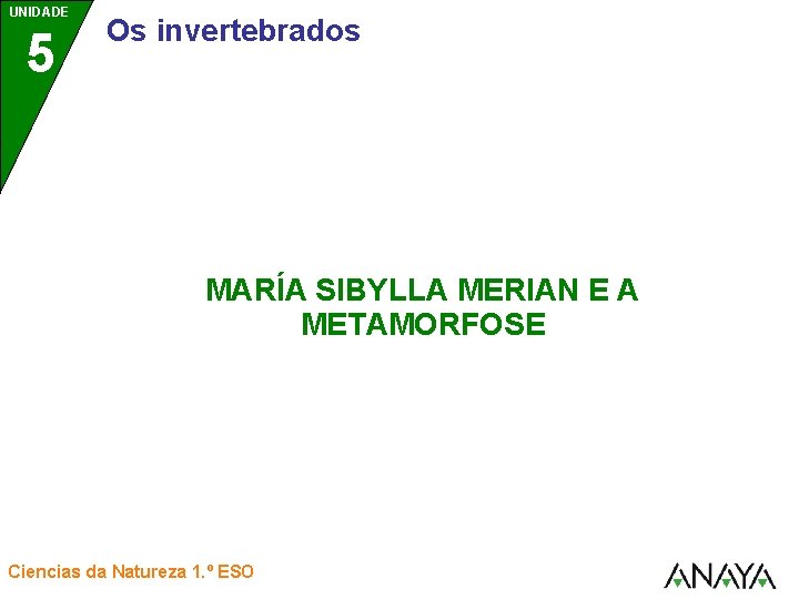 UNIDADE 5 Os invertebrados MARÍA SIBYLLA MERIAN E A METAMORFOSE Ciencias da Natureza 1.