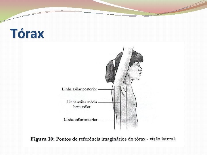 Tórax 