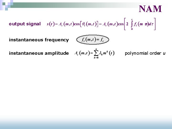 NAM output signal instantaneous frequency polynomial order u instantaneous amplitude § § central frequency