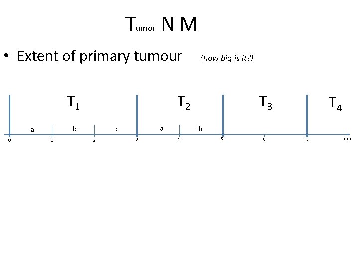 Tumor N M • Extent of primary tumour 0 b 1 T 3 T