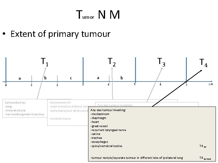 Tumor N M • Extent of primary tumour b a 0 1 Surrounded by: