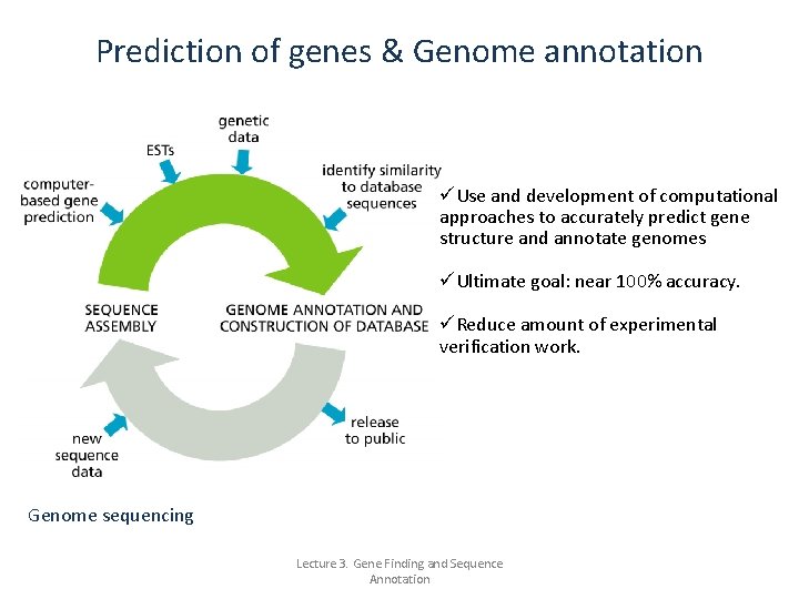 Prediction of genes & Genome annotation üUse and development of computational approaches to accurately