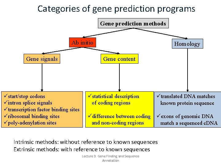 Categories of gene prediction programs Gene prediction methods Ab initio Gene signals üstart/stop codons