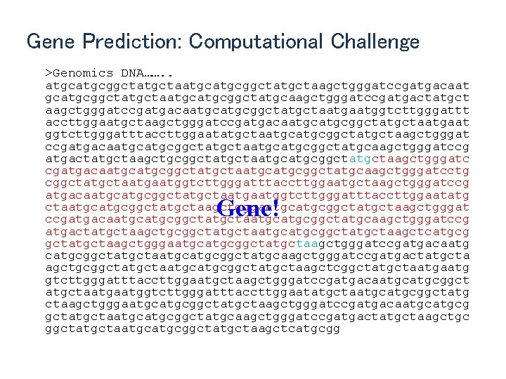 Gene Prediction: Computational Challenge >Genomics DNA……. . atgcatgcggctatgctaagctgggatccgatgacaat gcatgcggctatgctaatgcggctatgcaagctgggatccgatgactatgct aagctgggatccgatgacaatgcggctatgctaatggtcttgggattt accttggaatgctaagctgggatccgatgacaatgcggctatgctaatgaat ggtcttgggatttaccttggaatatgctaatgcggctatgctaagctgggat ccgatgacaatgcggctatgctaatgcggctatgcaagctgggatccg atgactatgctaagctgcggctatgctaatgcggctatgctaagctgggatc
