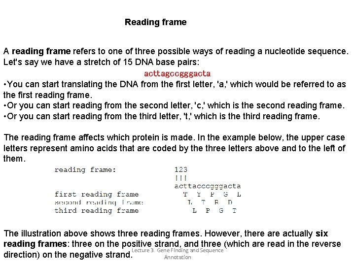 Reading frame A reading frame refers to one of three possible ways of reading