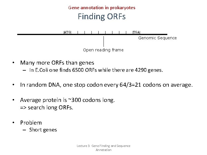 Gene annotation in prokaryotes Finding ORFs ATG TGA Genomic Sequence Open reading frame •