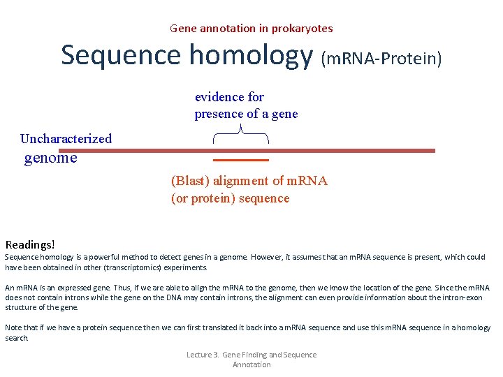 Gene annotation in prokaryotes Sequence homology (m. RNA-Protein) evidence for presence of a gene
