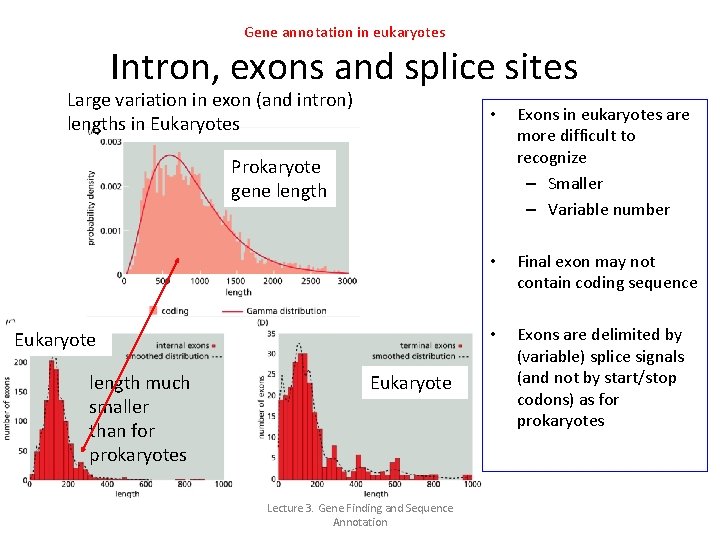 Gene annotation in eukaryotes Intron, exons and splice sites Large variation in exon (and