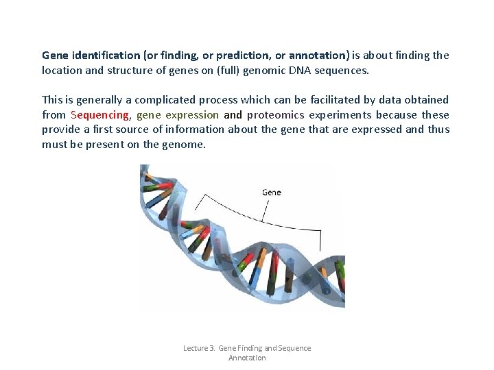 Gene identification (or finding, or prediction, or annotation) is about finding the location and