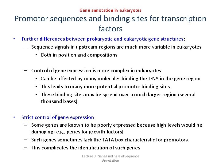 Gene annotation in eukaryotes Promotor sequences and binding sites for transcription factors • Further