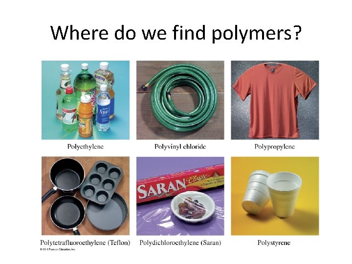Where do we find polymers? 