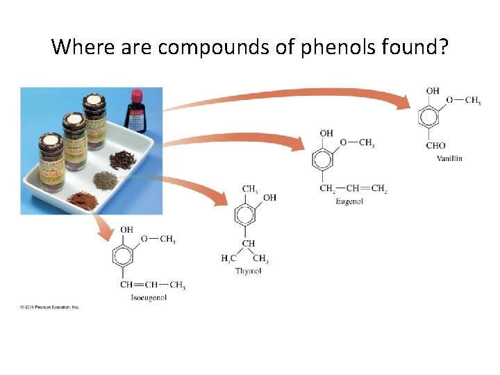 Where are compounds of phenols found? 