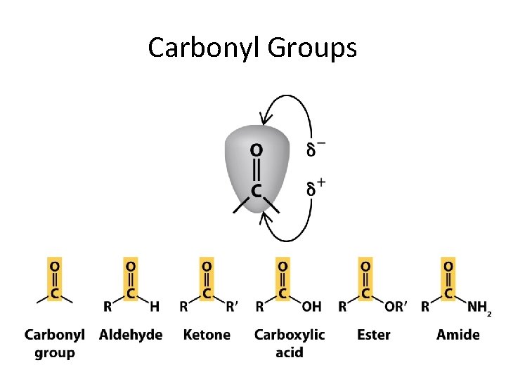 Carbonyl Groups 