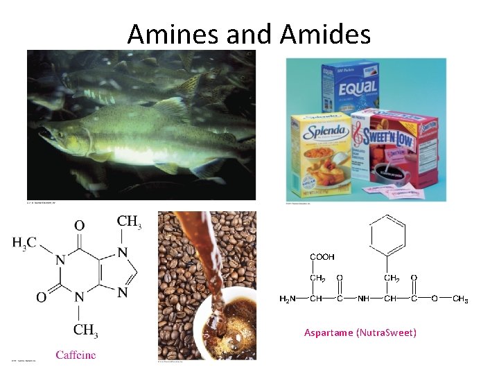 Amines and Amides Aspartame (Nutra. Sweet) 