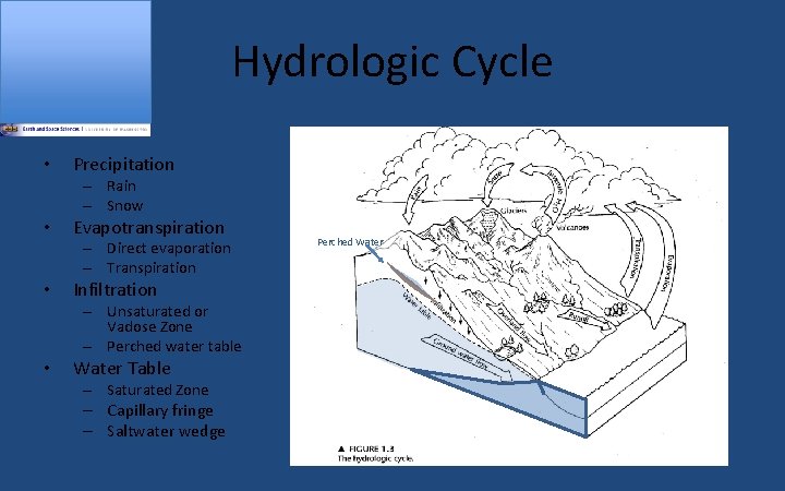 Hydrologic Cycle • Precipitation – Rain – Snow • Evapotranspiration – Direct evaporation –