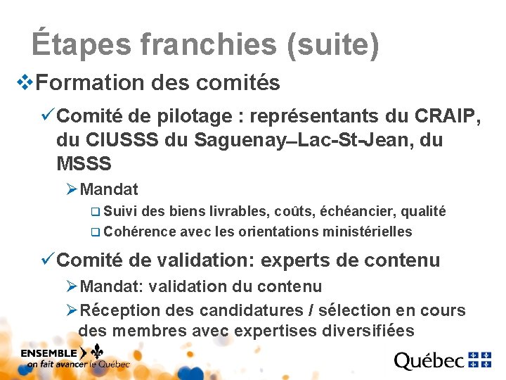 Étapes franchies (suite) v. Formation des comités üComité de pilotage : représentants du CRAIP, Étapes franchies (suite) v. Formation des comités üComité de pilotage : représentants du CRAIP,