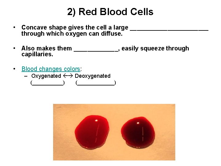 2) Red Blood Cells • Concave shape gives the cell a large ____________ through