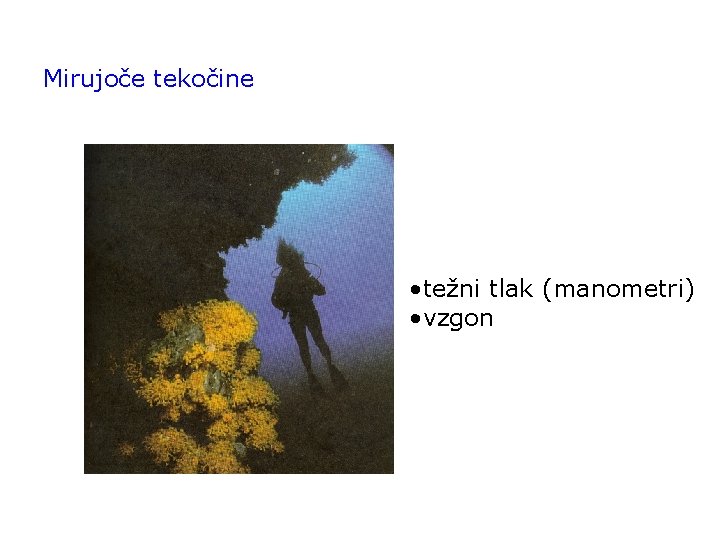 Mirujoče tekočine • težni tlak (manometri) • vzgon 