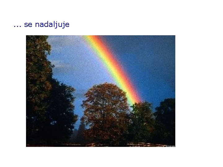 . . . se nadaljuje 