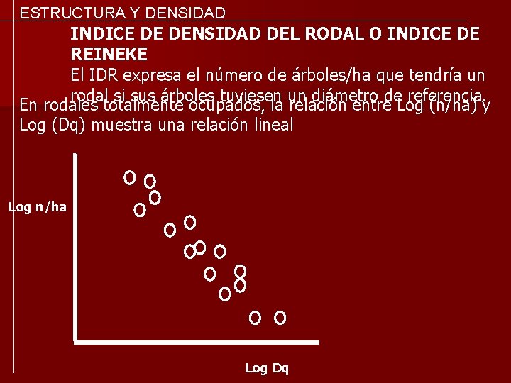 ESTRUCTURA Y DENSIDAD INDICE DE DENSIDAD DEL RODAL O INDICE DE REINEKE El IDR