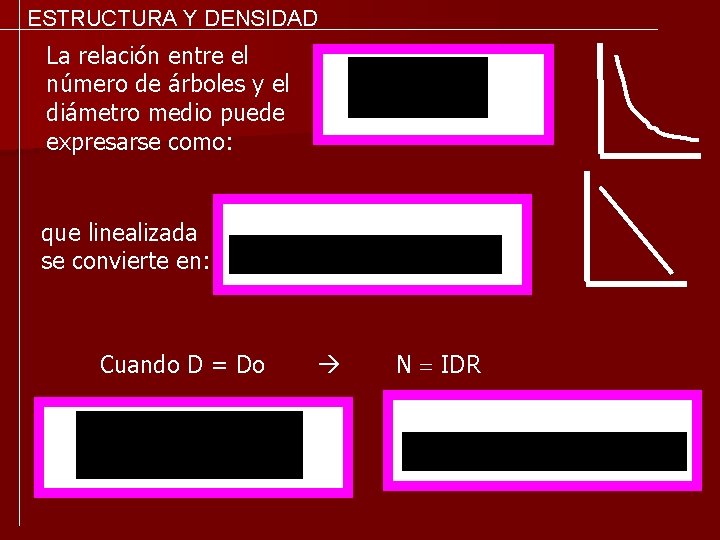 ESTRUCTURA Y DENSIDAD La relación entre el número de árboles y el diámetro medio