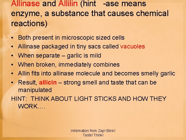 Allinase and Allilin (hint -ase means enzyme, a substance that causes chemical reactions) •