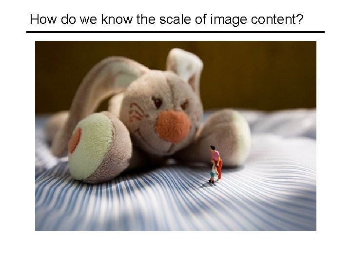 How do we know the scale of image content? 