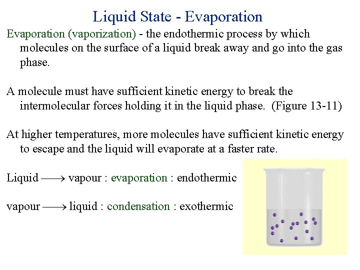 Liquid State - Evaporation (vaporization) - the endothermic process by which molecules on the