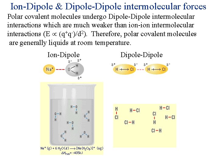Ion-Dipole & Dipole-Dipole intermolecular forces Polar covalent molecules undergo Dipole-Dipole intermolecular interactions which are