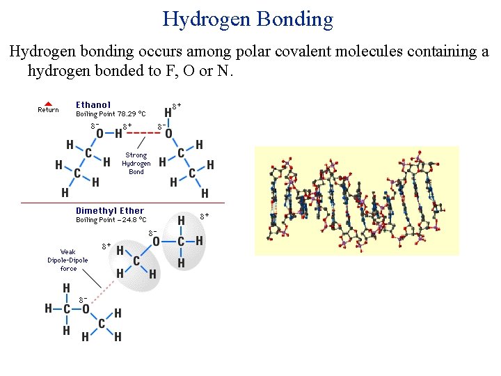 Hydrogen Bonding Hydrogen bonding occurs among polar covalent molecules containing a hydrogen bonded to