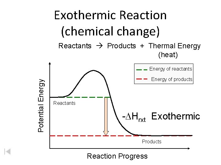 Exothermic Reaction (chemical change) Reactants Products + Thermal Energy (heat) Potential Energy of reactants Exothermic Reaction (chemical change) Reactants Products + Thermal Energy (heat) Potential Energy of reactants