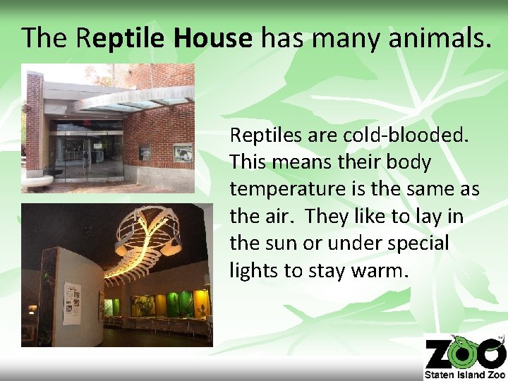 The Reptile House has many animals. Reptiles are cold-blooded. This means their body temperature