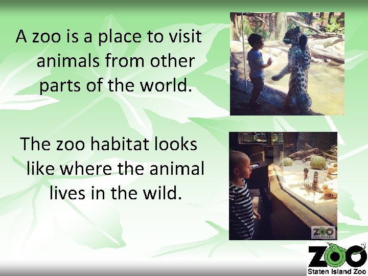 A zoo is a place to visit animals from other parts of the world.