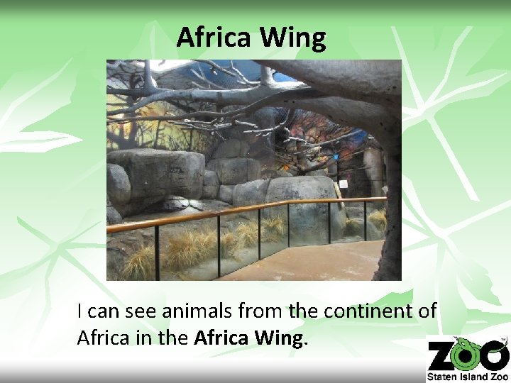 Africa Wing I can see animals from the continent of Africa in the Africa