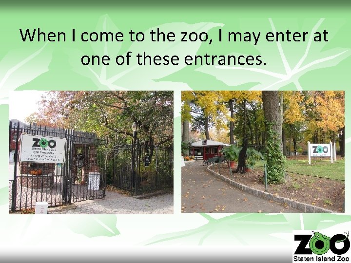 When I come to the zoo, I may enter at one of these entrances.