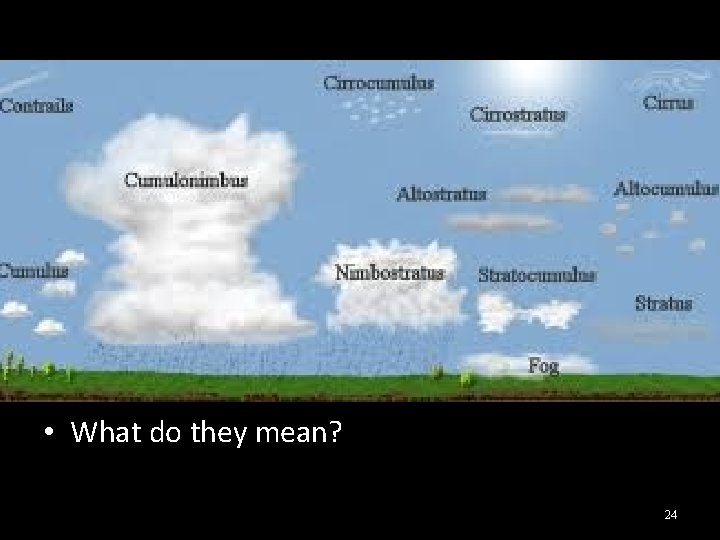  • What do they mean? 24 