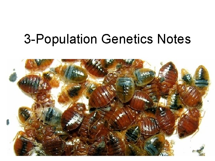 3 -Population Genetics Notes 