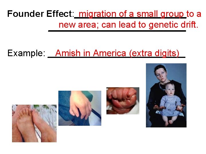 migration of a small group to a Founder Effect: ___________ new area; can lead