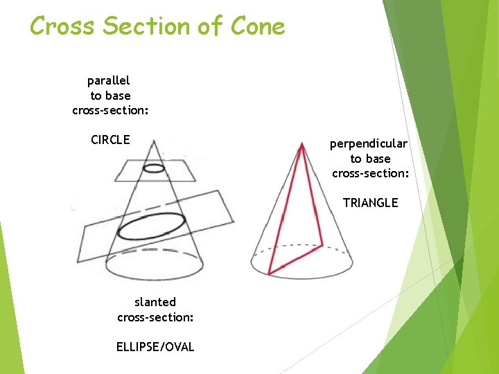 Cross Section of Cone parallel to base cross-section: CIRCLE perpendicular to base cross-section: TRIANGLE