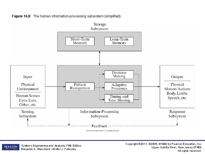 Figure 14. 8 The human information-processing subsystem (simplified). Systems Engineering and Analysis, Fifth Edition