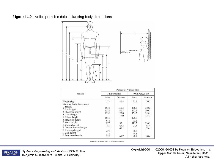 Figure 14. 2 Anthropometric data—standing body dimensions. Systems Engineering and Analysis, Fifth Edition Benjamin