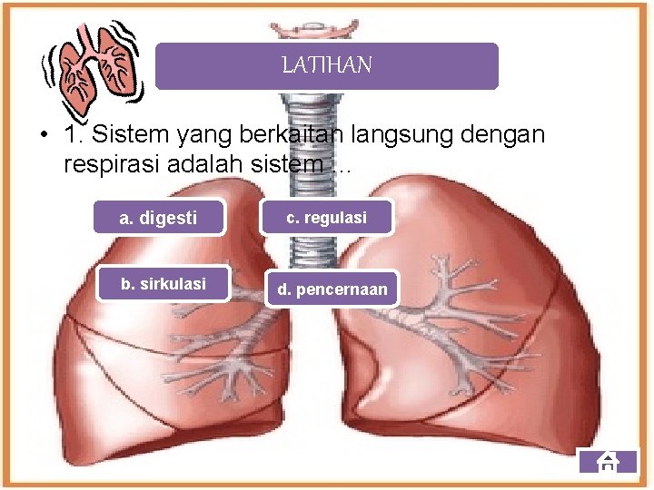 LATIHAN • 1. Sistem yang berkaitan langsung dengan respirasi adalah sistem … a. digesti