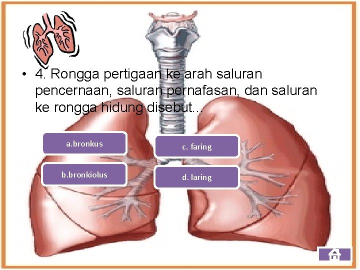  • 4. Rongga pertigaan ke arah saluran pencernaan, saluran pernafasan, dan saluran ke