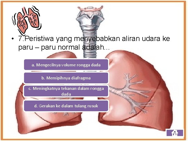  • 7. Peristiwa yang menyebabkan aliran udara ke paru – paru normal adalah.
