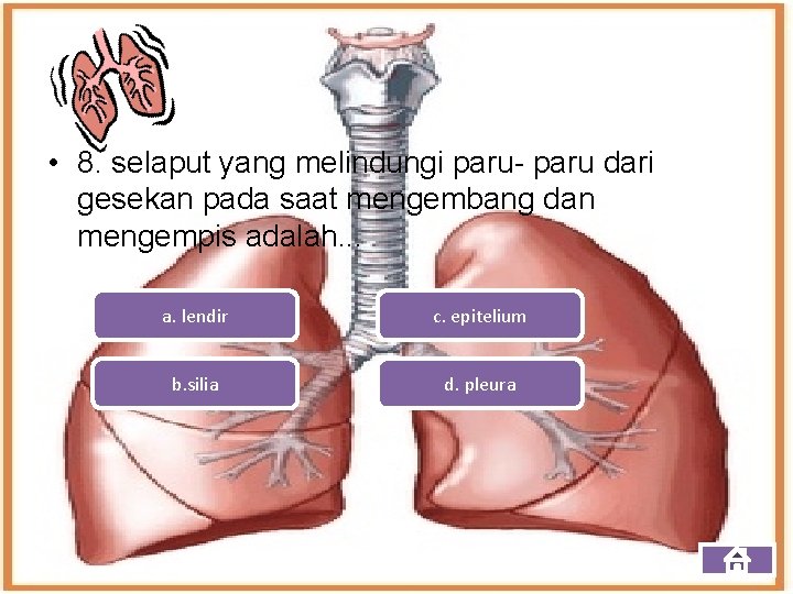  • 8. selaput yang melindungi paru- paru dari gesekan pada saat mengembang dan
