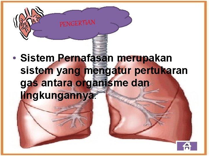 PENGERTIAN • Sistem Pernafasan merupakan sistem yang mengatur pertukaran gas antara organisme dan lingkungannya.